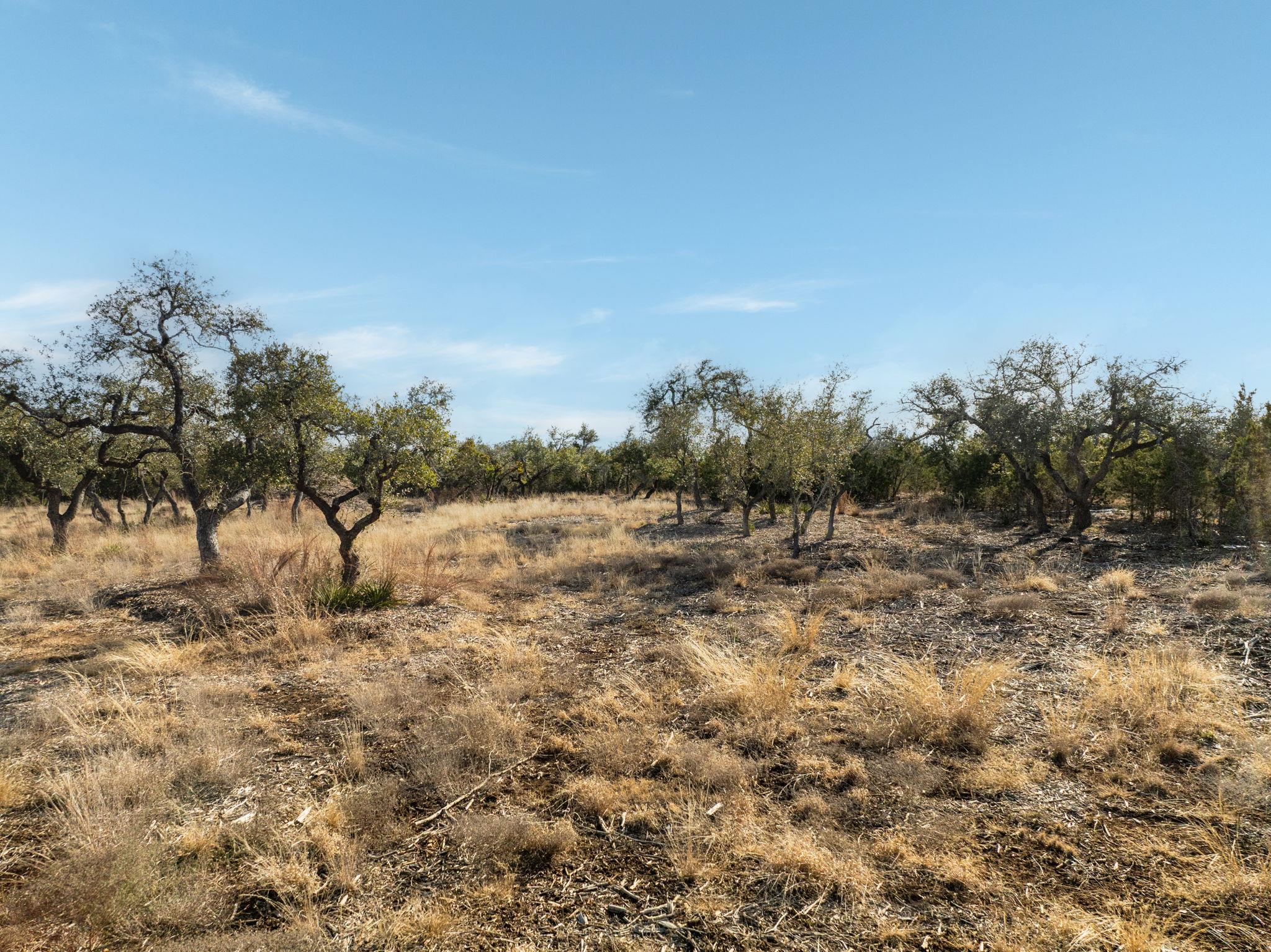 Tbd Mesa Alta Lane Dripping Springs TX 78620