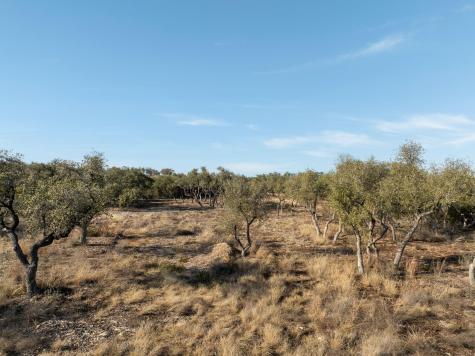 Tbd Mesa Alta Lane Dripping Springs TX 78620