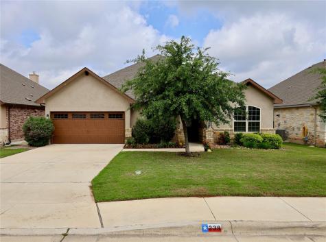 239 Bamberger Avenue New Braunfels TX 78132