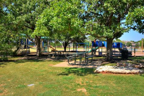 3420 Carya Court Round Rock TX 78681