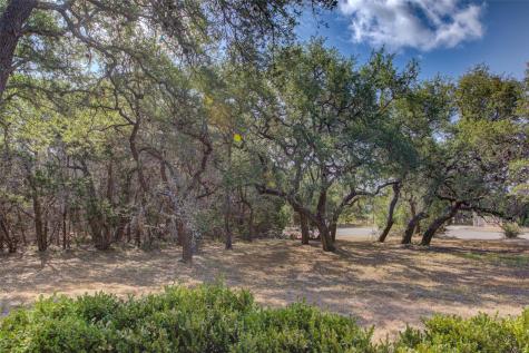 465 Hannah Drive Dripping Springs TX 78620