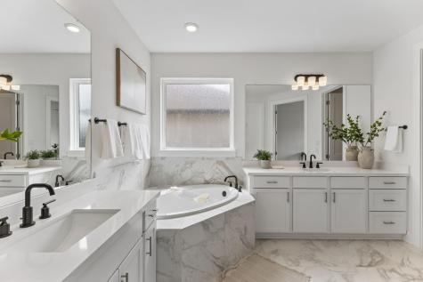 1409 Pink Granite Boulevard Dripping Springs TX 78620
