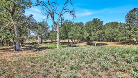 230 Heritage Oaks Drive Cedar Creek TX 78612