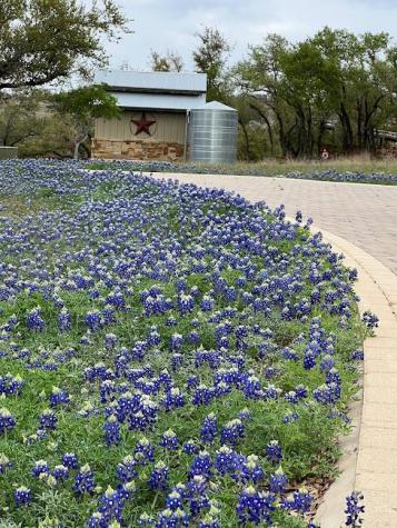9825 Grand Summit Boulevard Dripping Springs TX 78620