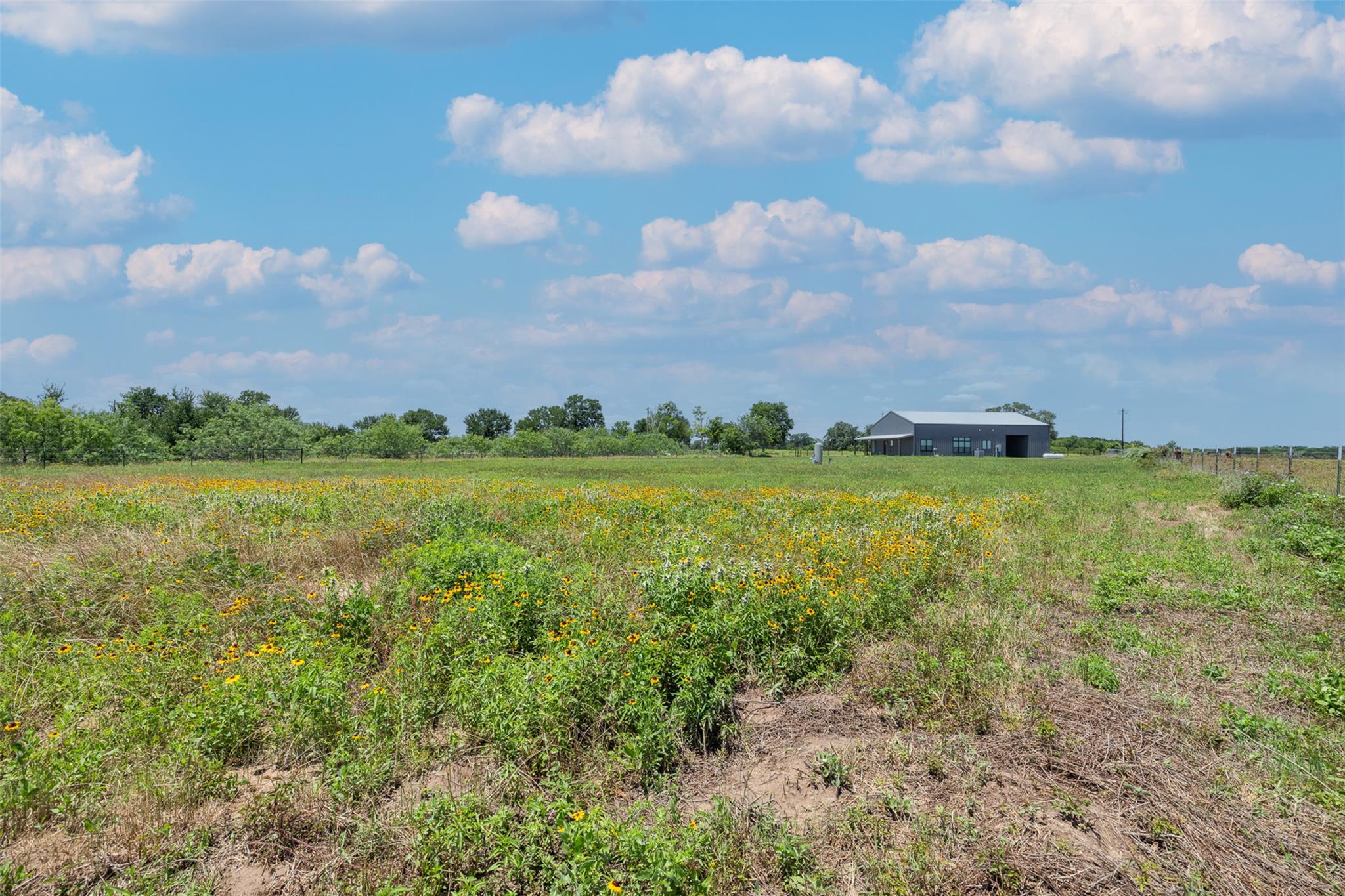 10482 County Road 276 Somerville TX 77879