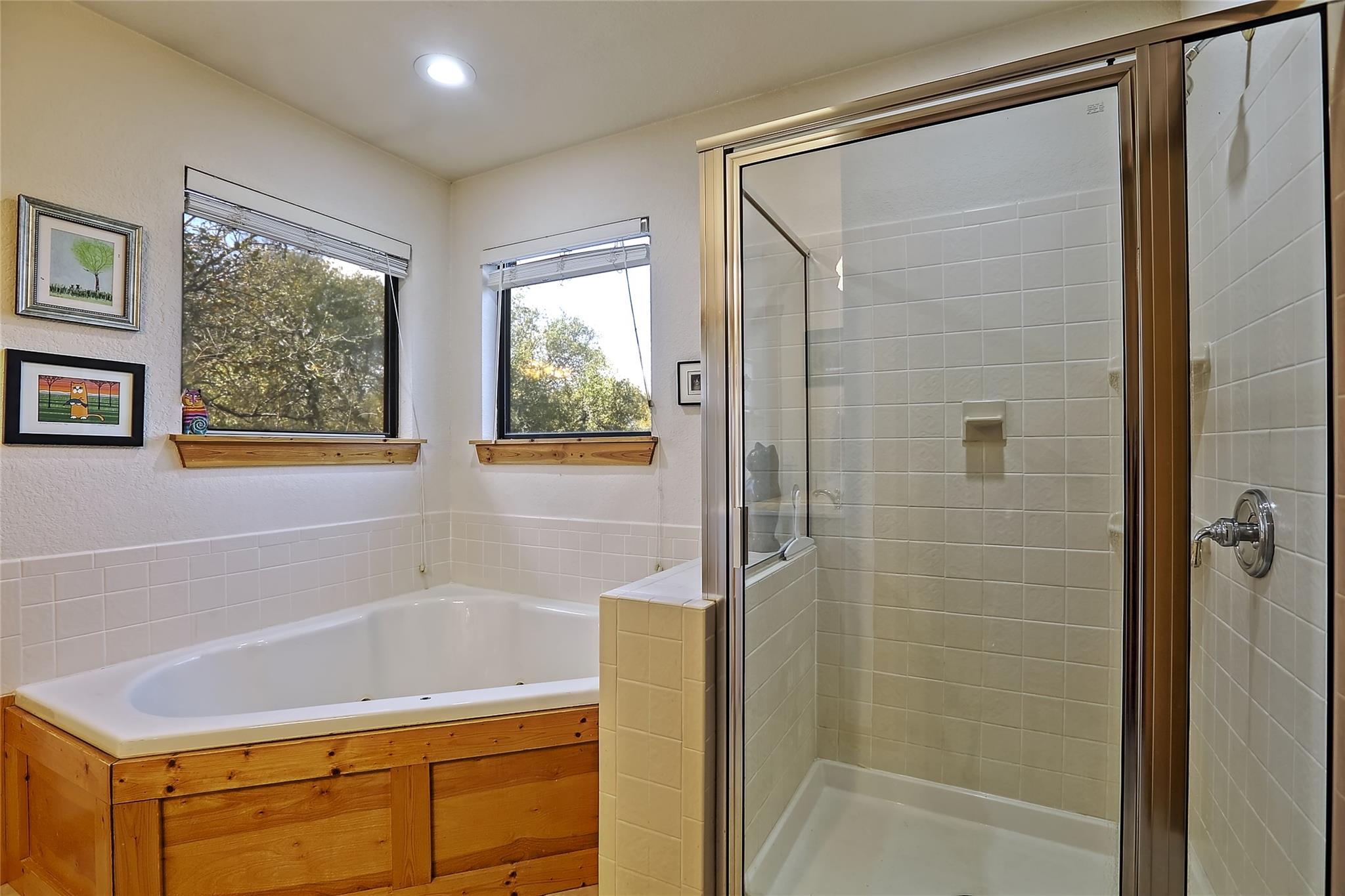 601 Echo Drive Spicewood TX 78669