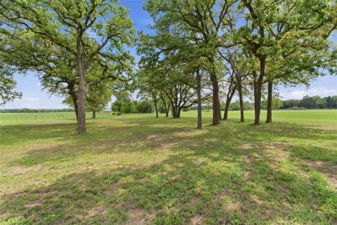 1145 W County Road 415 Lexington TX 78947