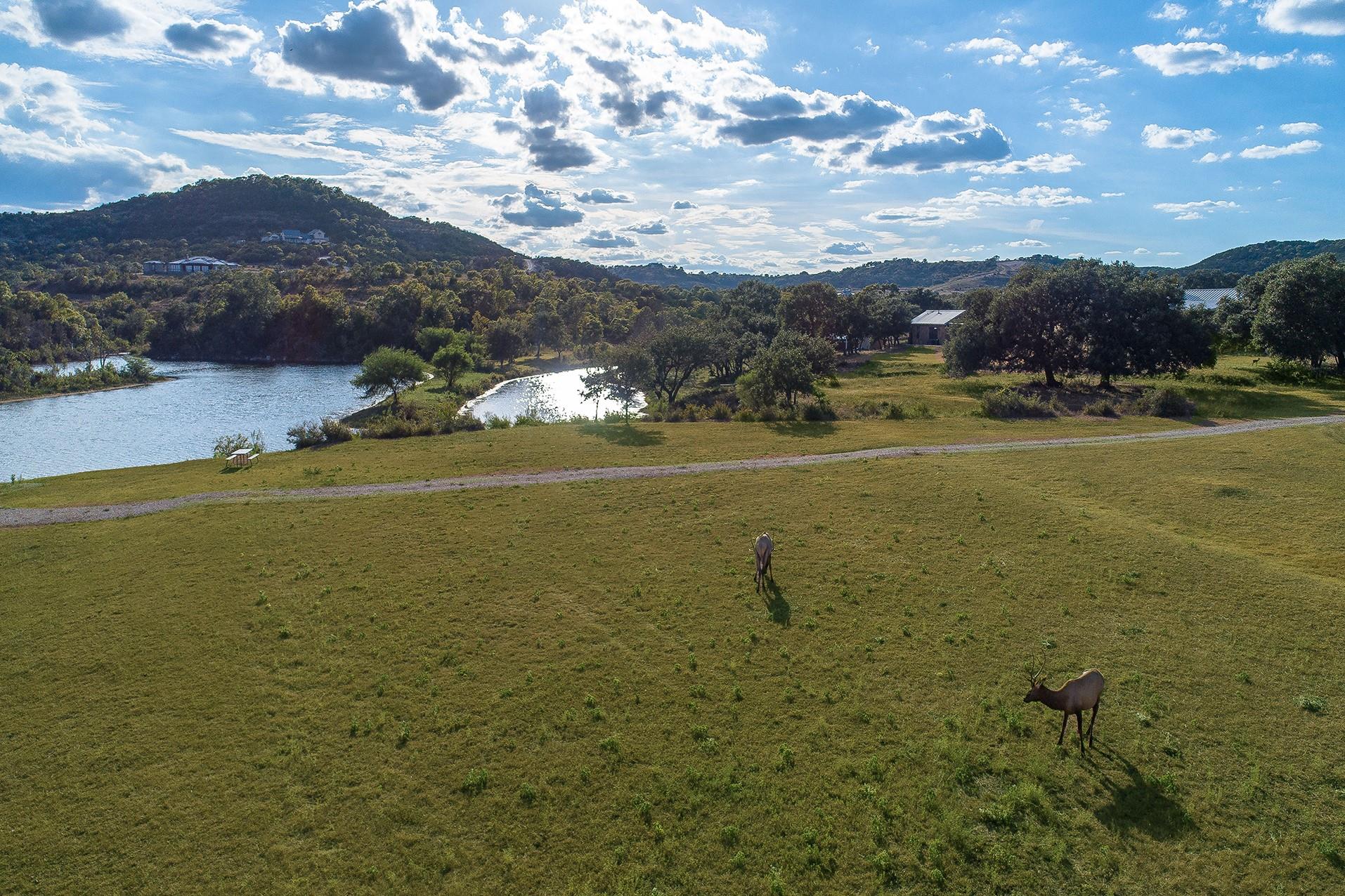 234 Elk Run Cove Blanco TX 78606