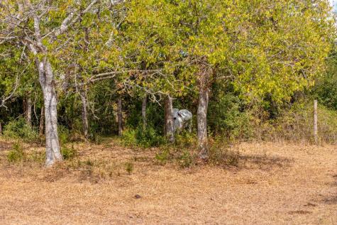 1901 E State Highway 21 Paige TX 78659