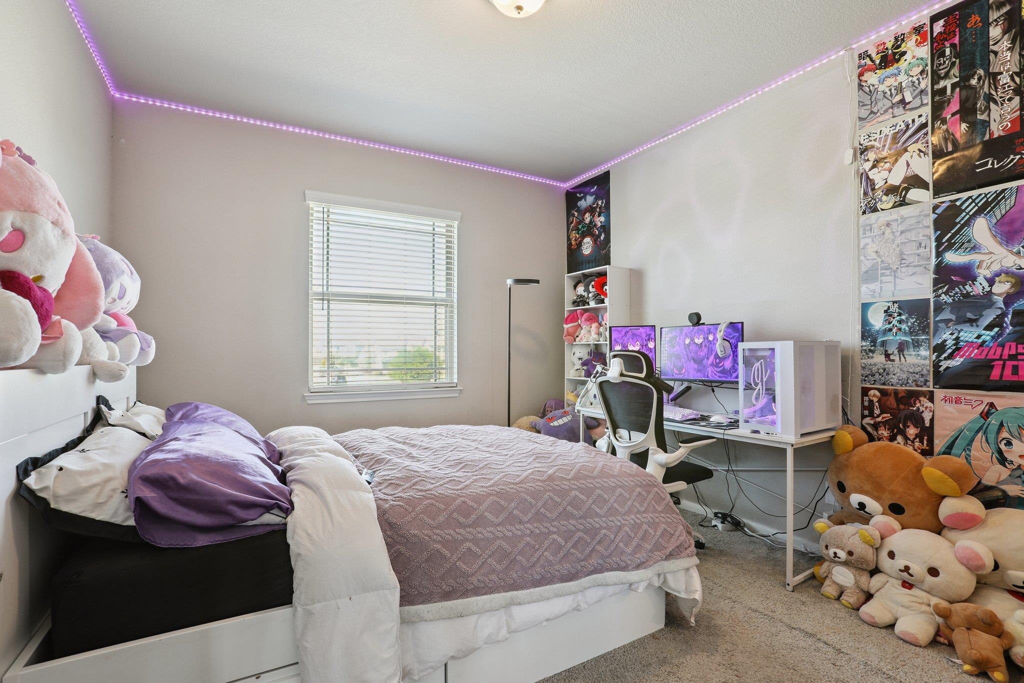 316 Leon Loop Liberty Hill TX 78642