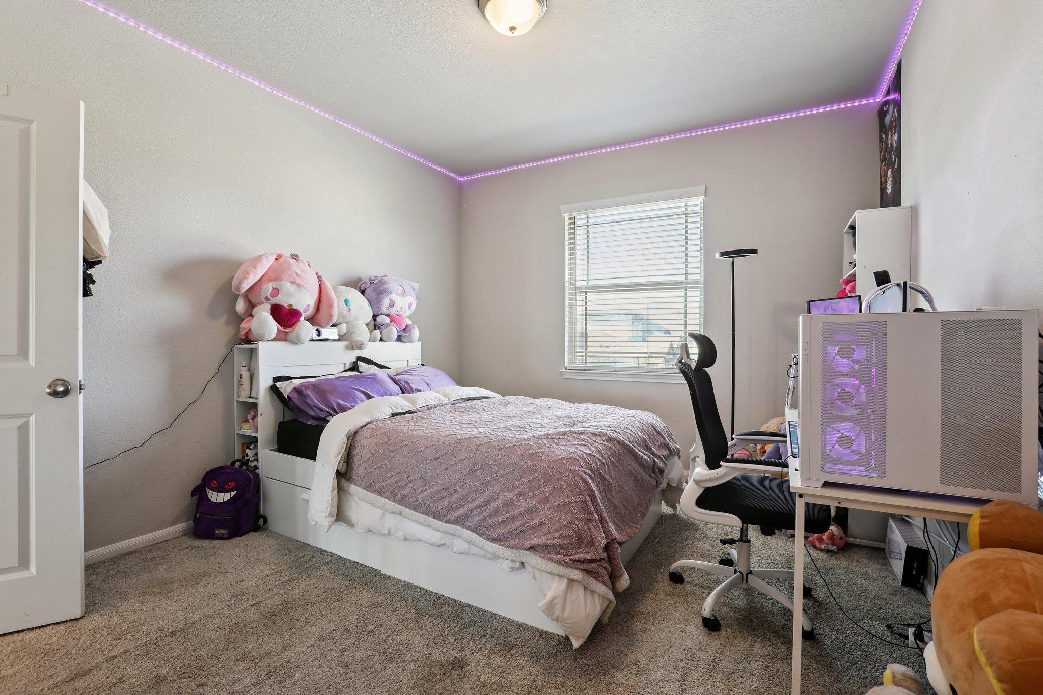 316 Leon Loop Liberty Hill TX 78642