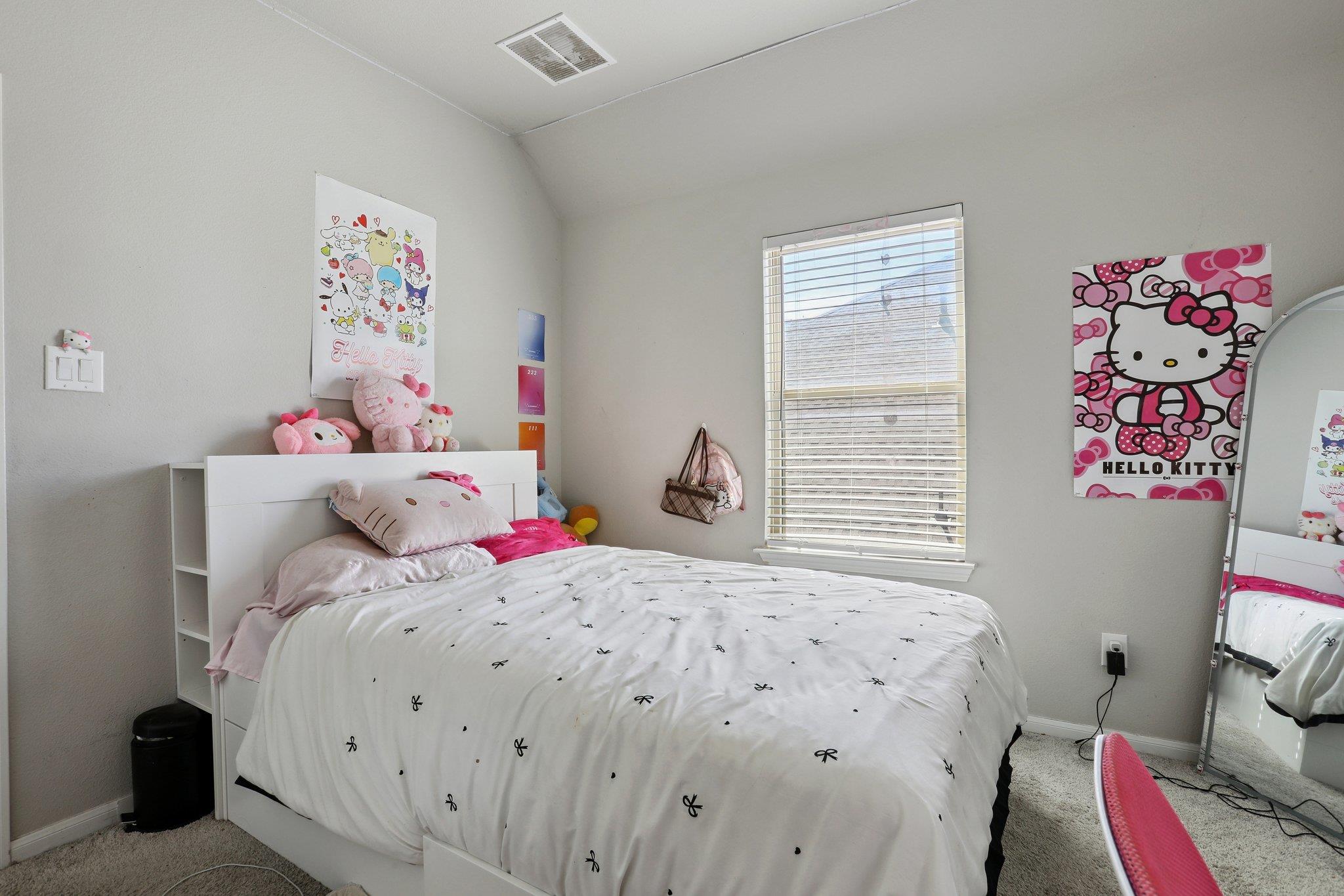 316 Leon Loop Liberty Hill TX 78642
