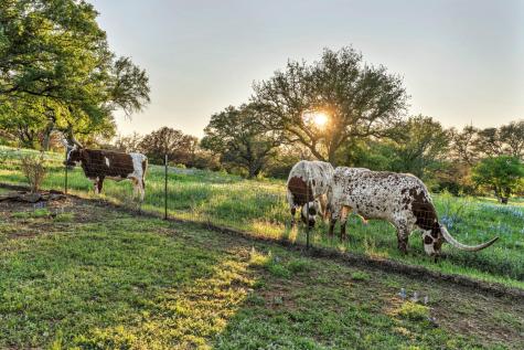 310 The Hills Road Horseshoe Bay TX 78657