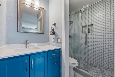 313 Blackberry Drive Austin TX 78745