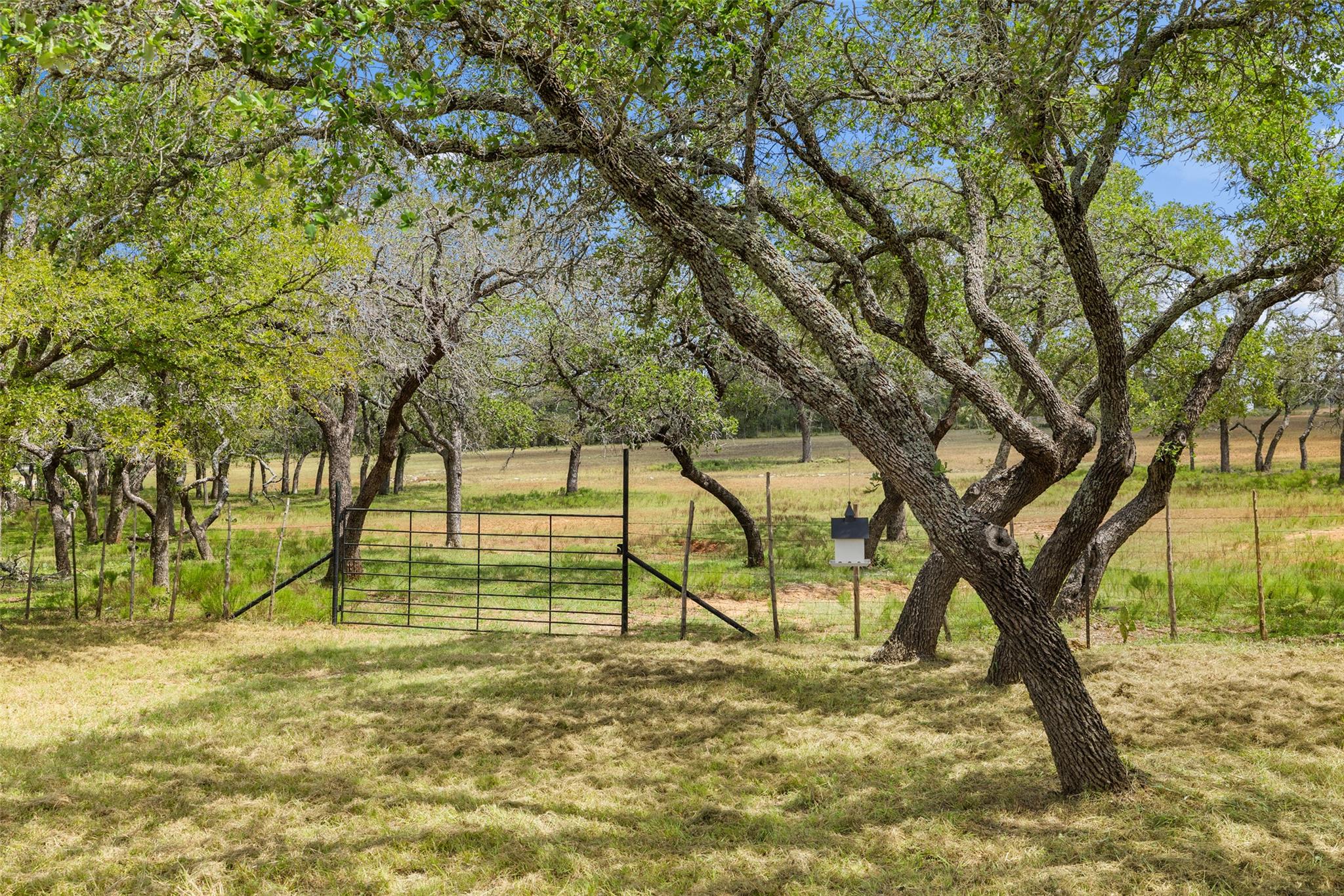 2631 N Us Highway 281 Johnson City TX 78636