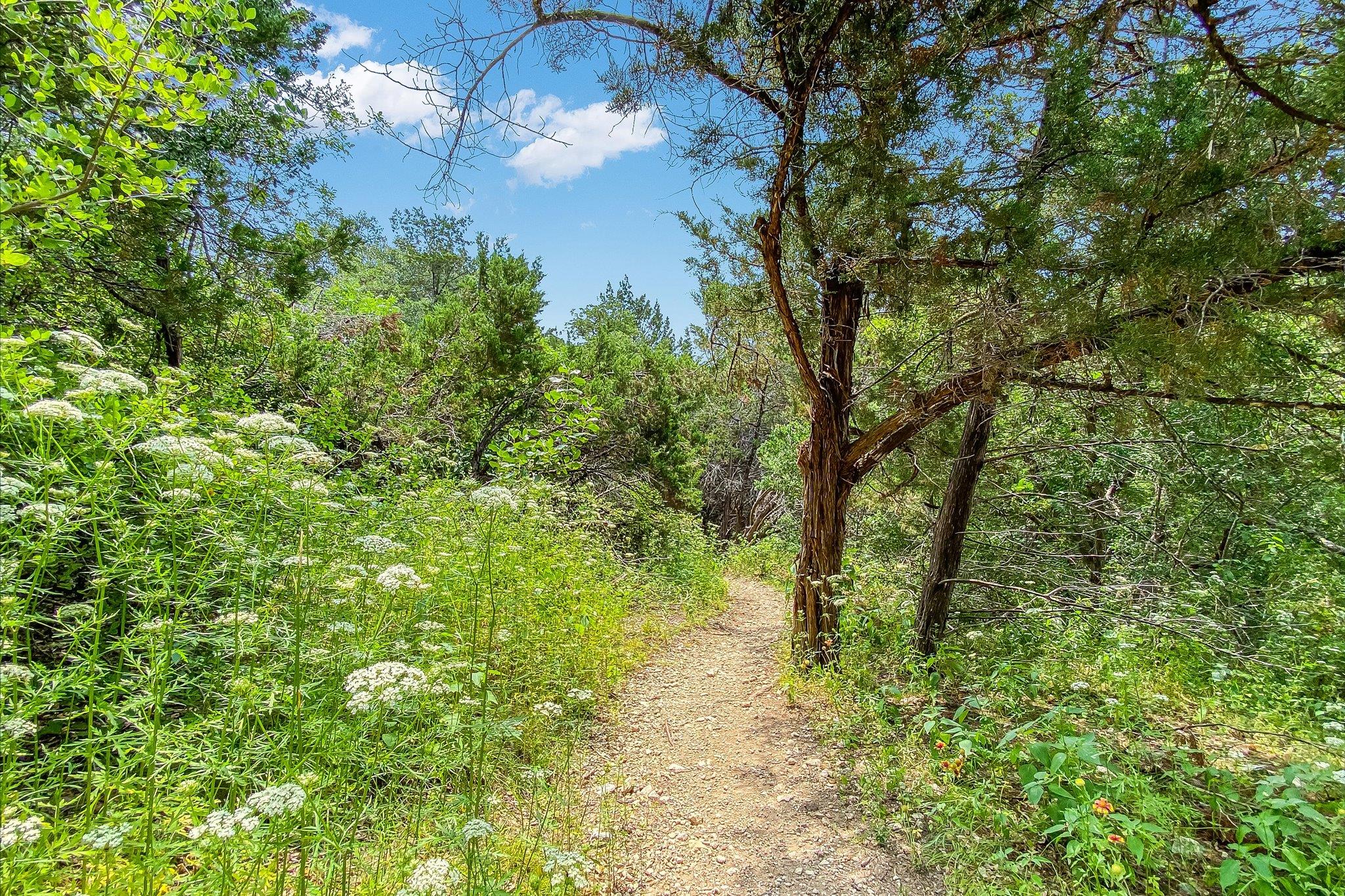 8602 Silver Ridge Drive Austin TX 78759