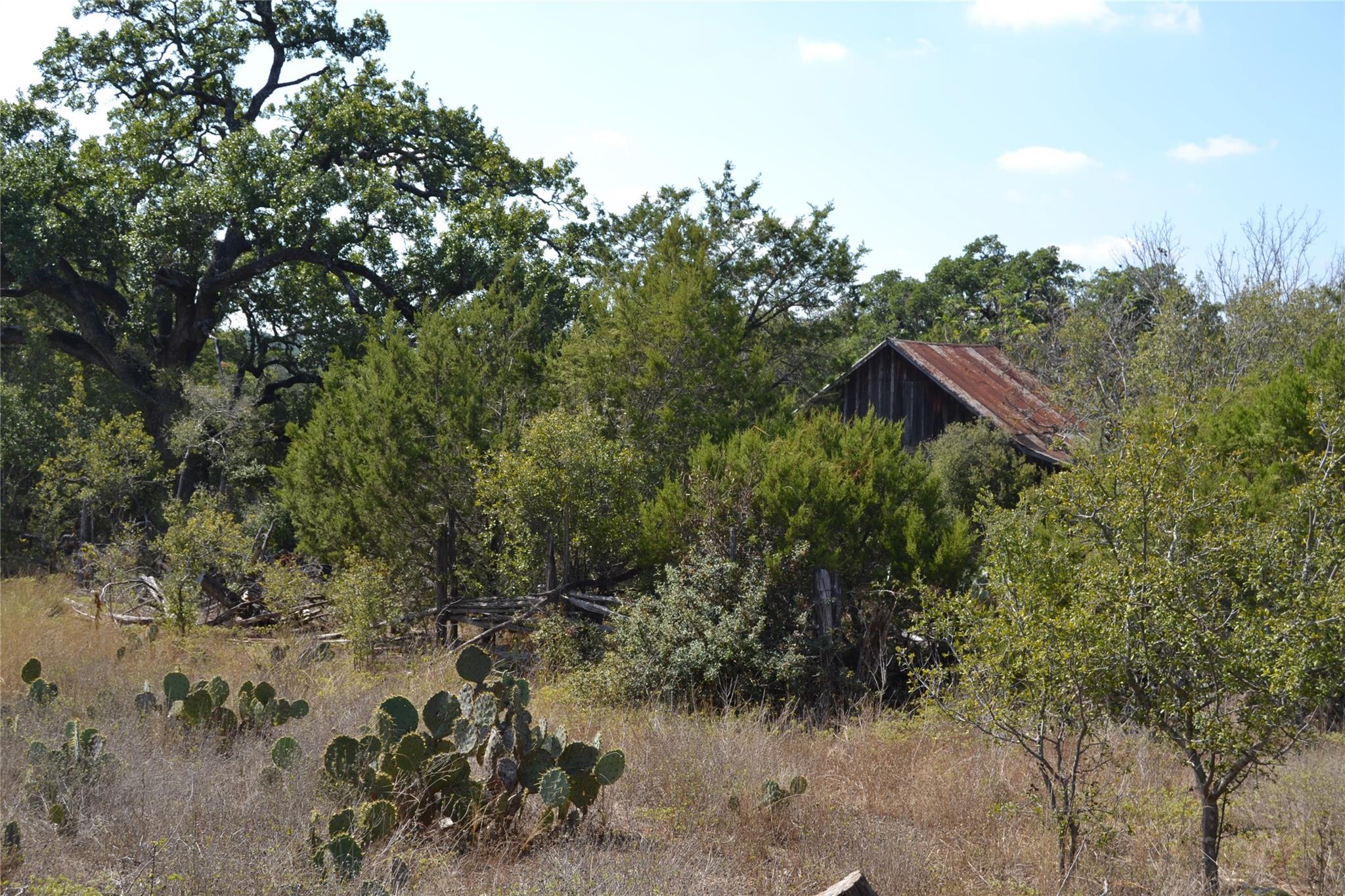 8409 Appaloosa Run Austin TX 78737