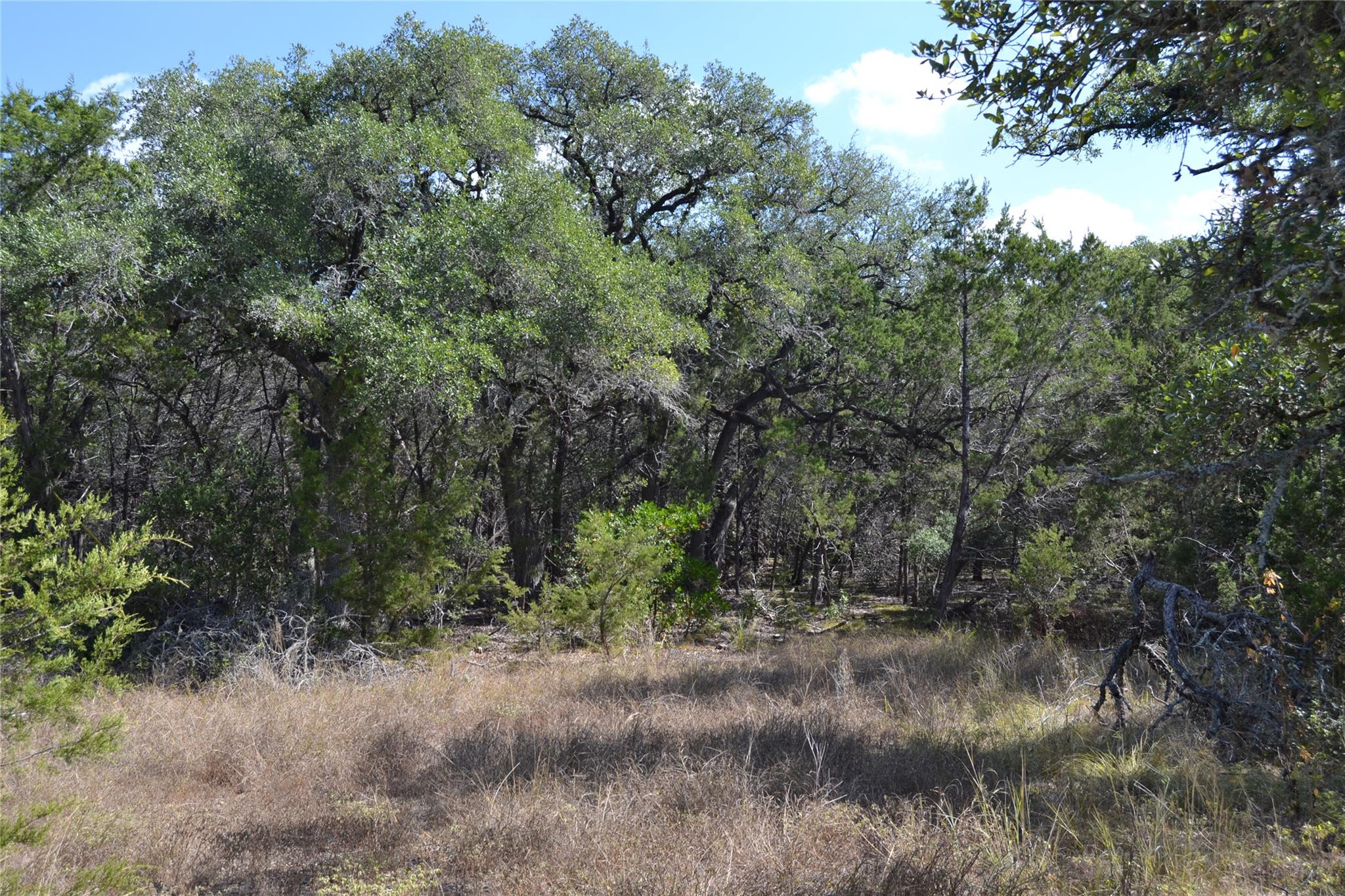 8409 Appaloosa Run Austin TX 78737