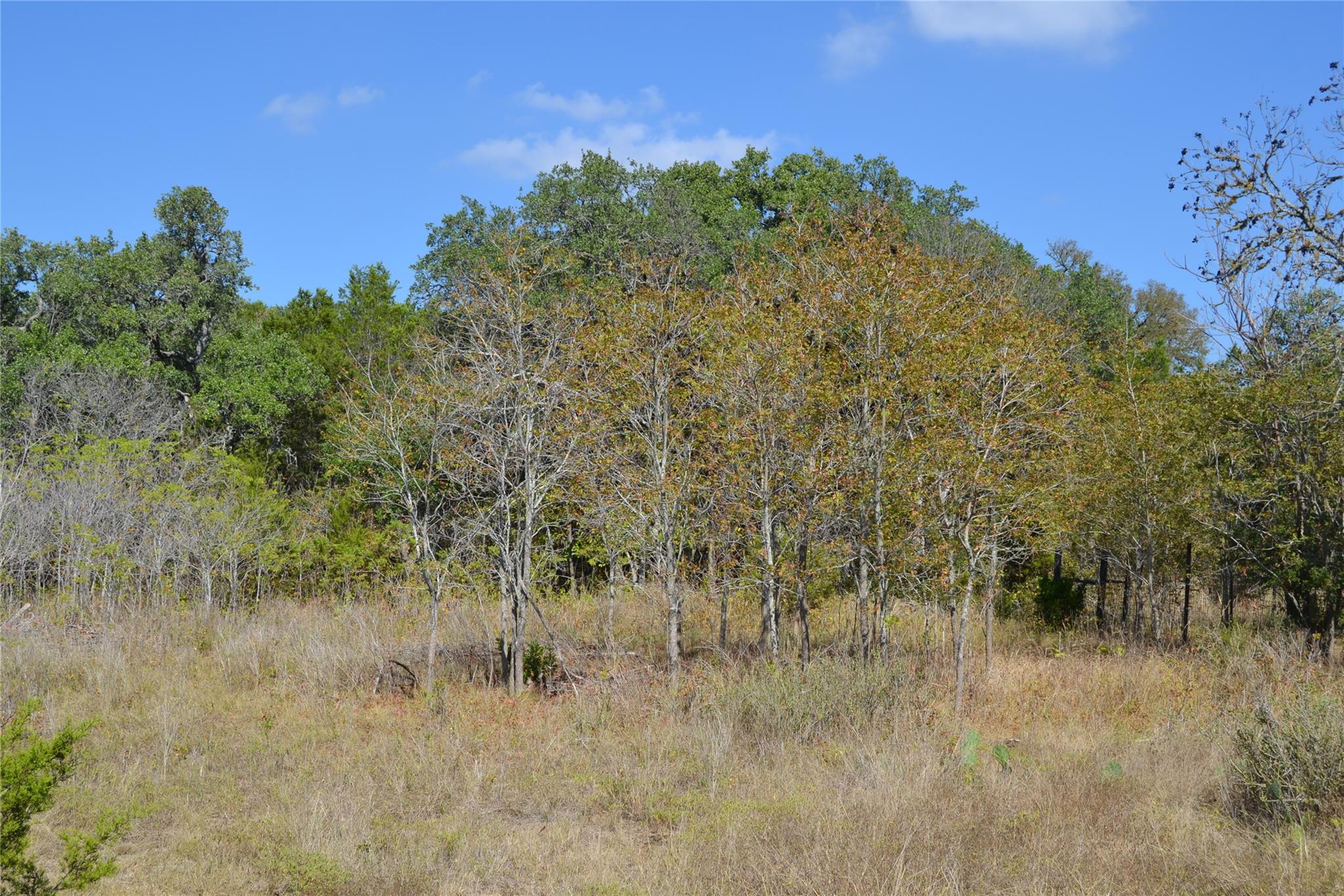 8409 Appaloosa Run Austin TX 78737