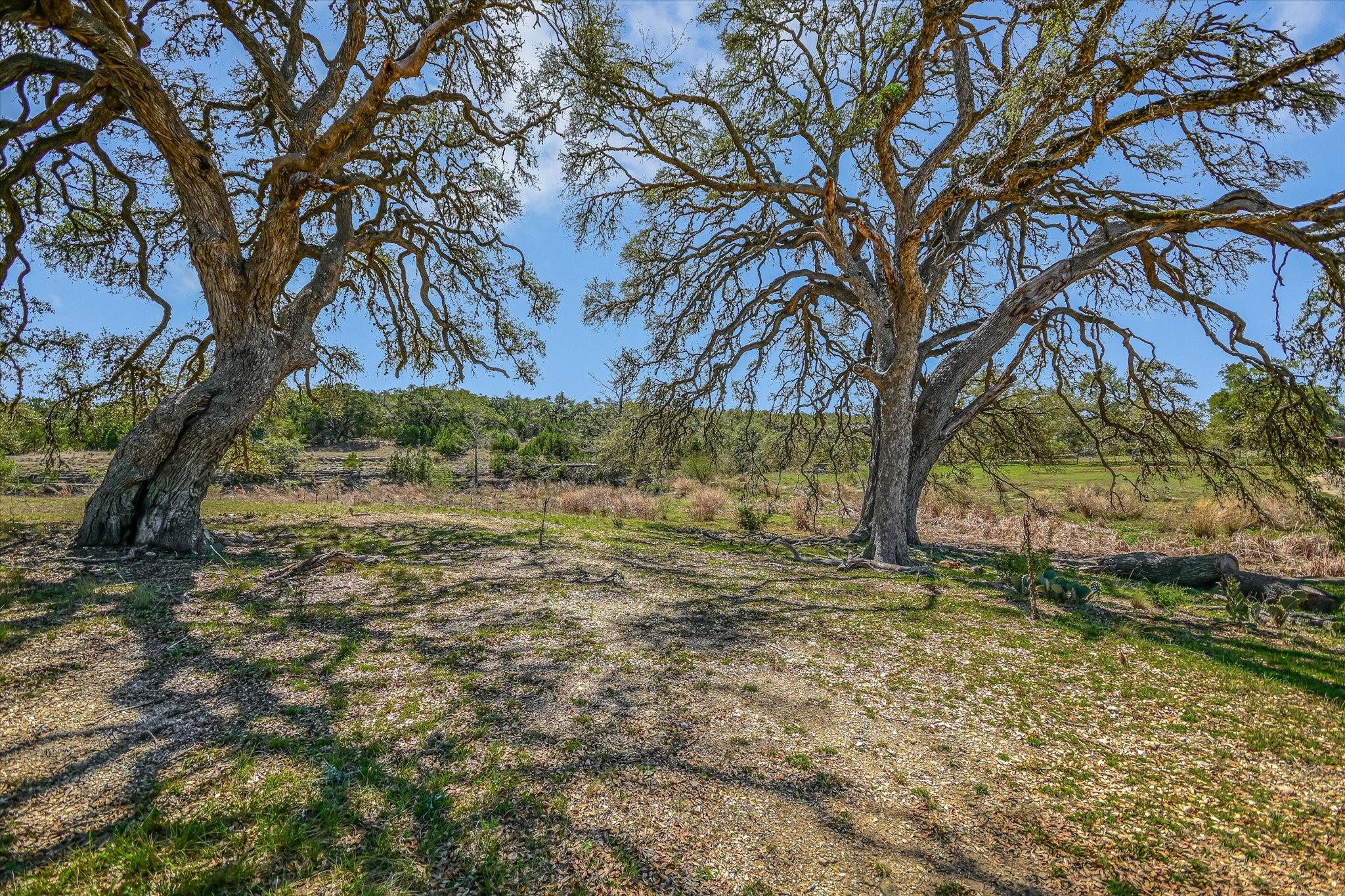5421 Purgatory Road San Marcos TX 78666
