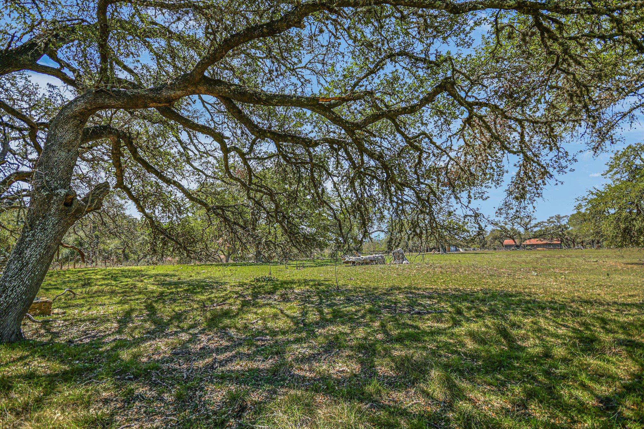 5421 Purgatory Road San Marcos TX 78666