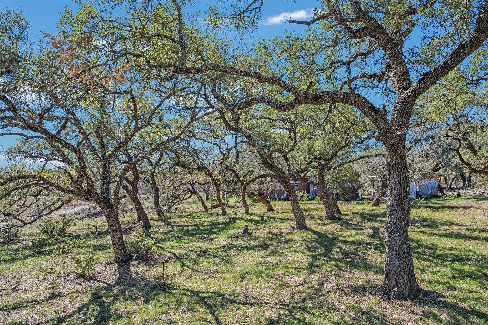 5421 Purgatory Road San Marcos TX 78666