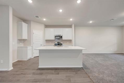 126 Big Banyan Drive Dripping Springs TX 78620