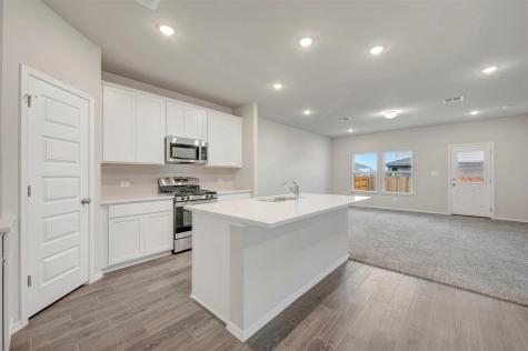 126 Big Banyan Drive Dripping Springs TX 78620