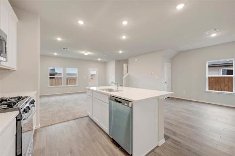 126 Big Banyan Drive Dripping Springs TX 78620