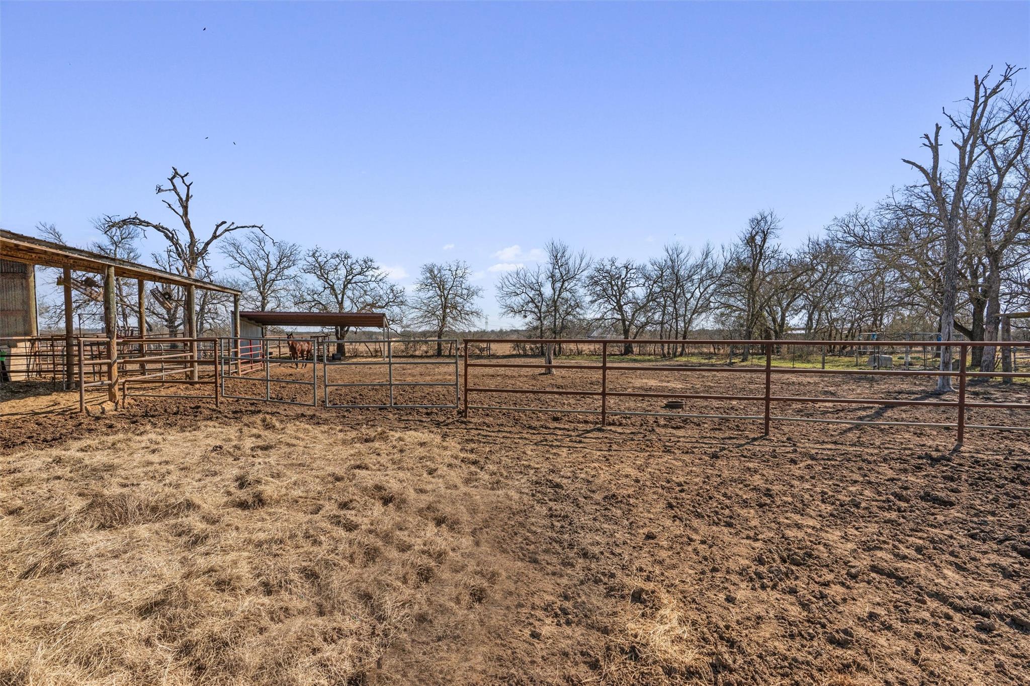 173 County Road 458a Thorndale TX 76577