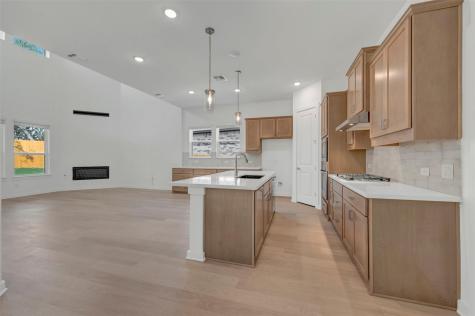178 Norway Spruce Street Dripping Springs TX 78620