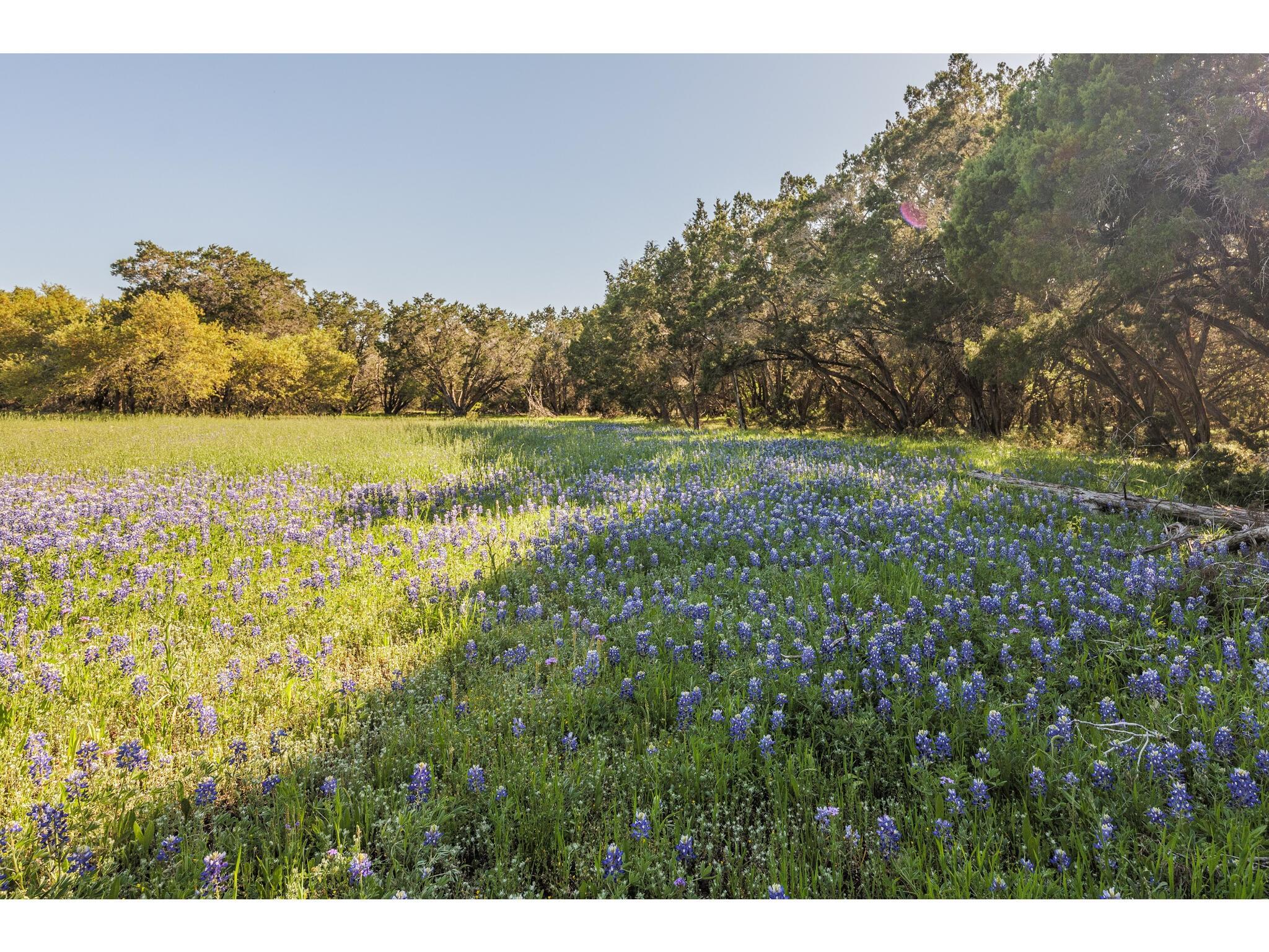 250 Caliche Road Wimberley TX 78676