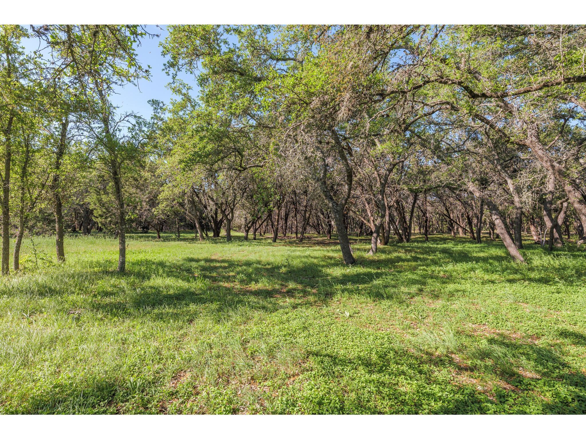 250 Caliche Road Wimberley TX 78676