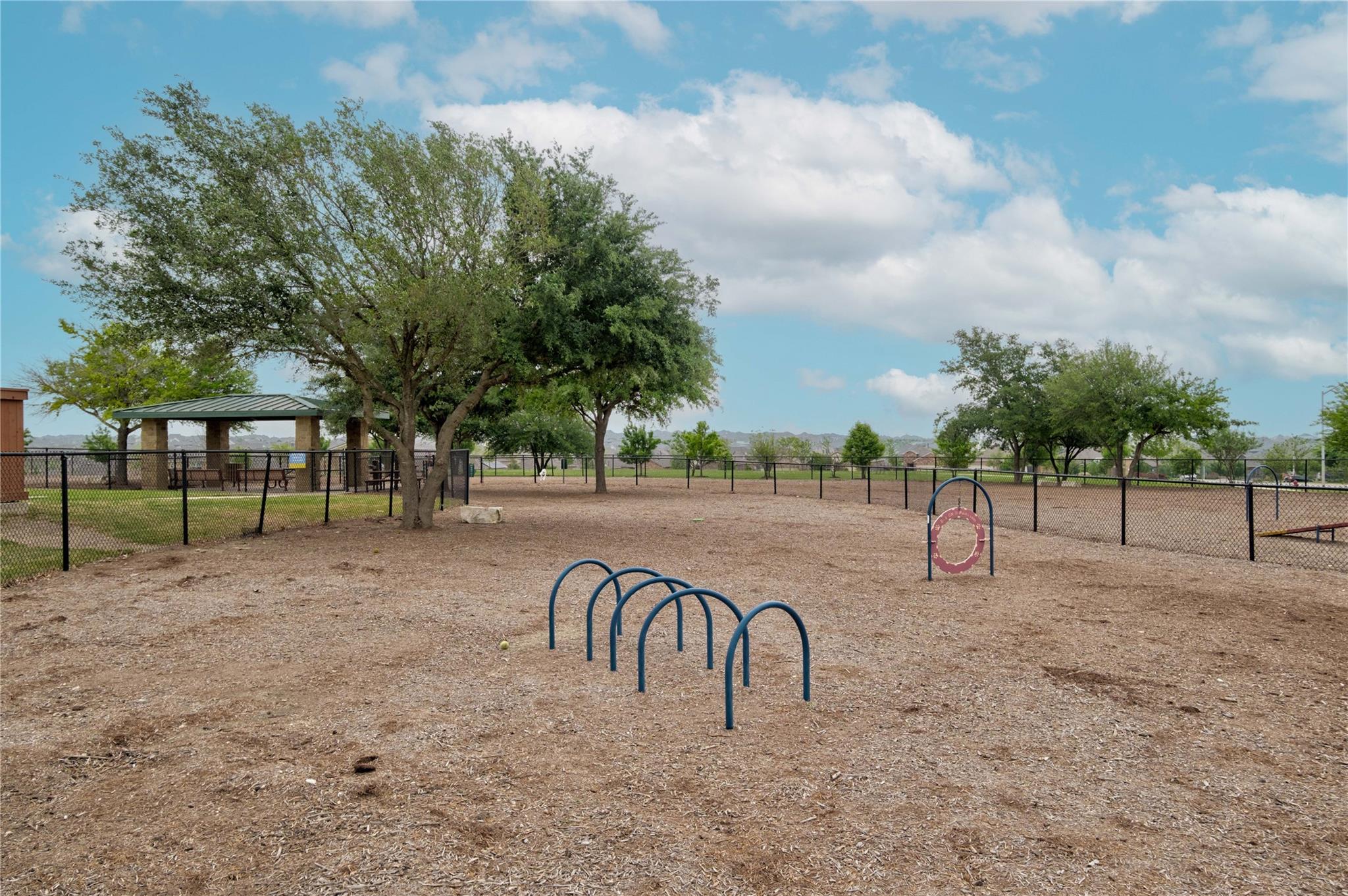 203 Soft Elm Drive Buda TX 78610