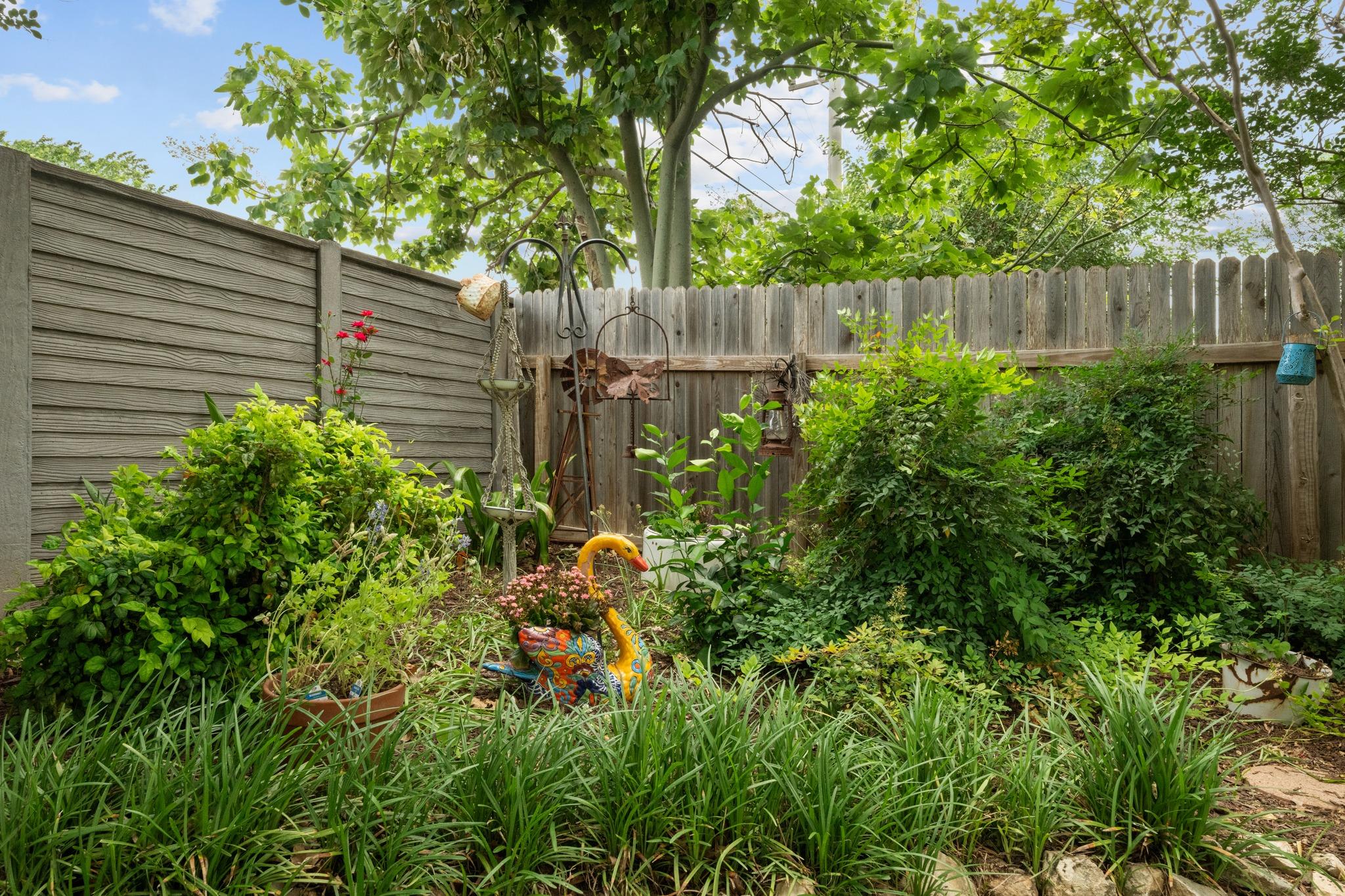 16812 Bailey Jean Drive Round Rock TX 78681
