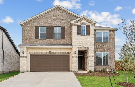 13516 Cerro Castellan Trace Manor TX 78653