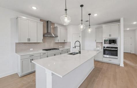 13516 Cerro Castellan Trace Manor TX 78653