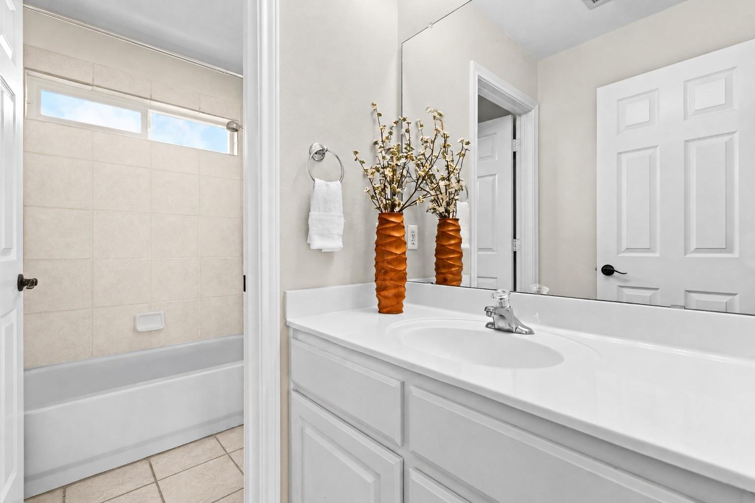 1604 Tahoka Daisy Drive Cedar Park TX 78613