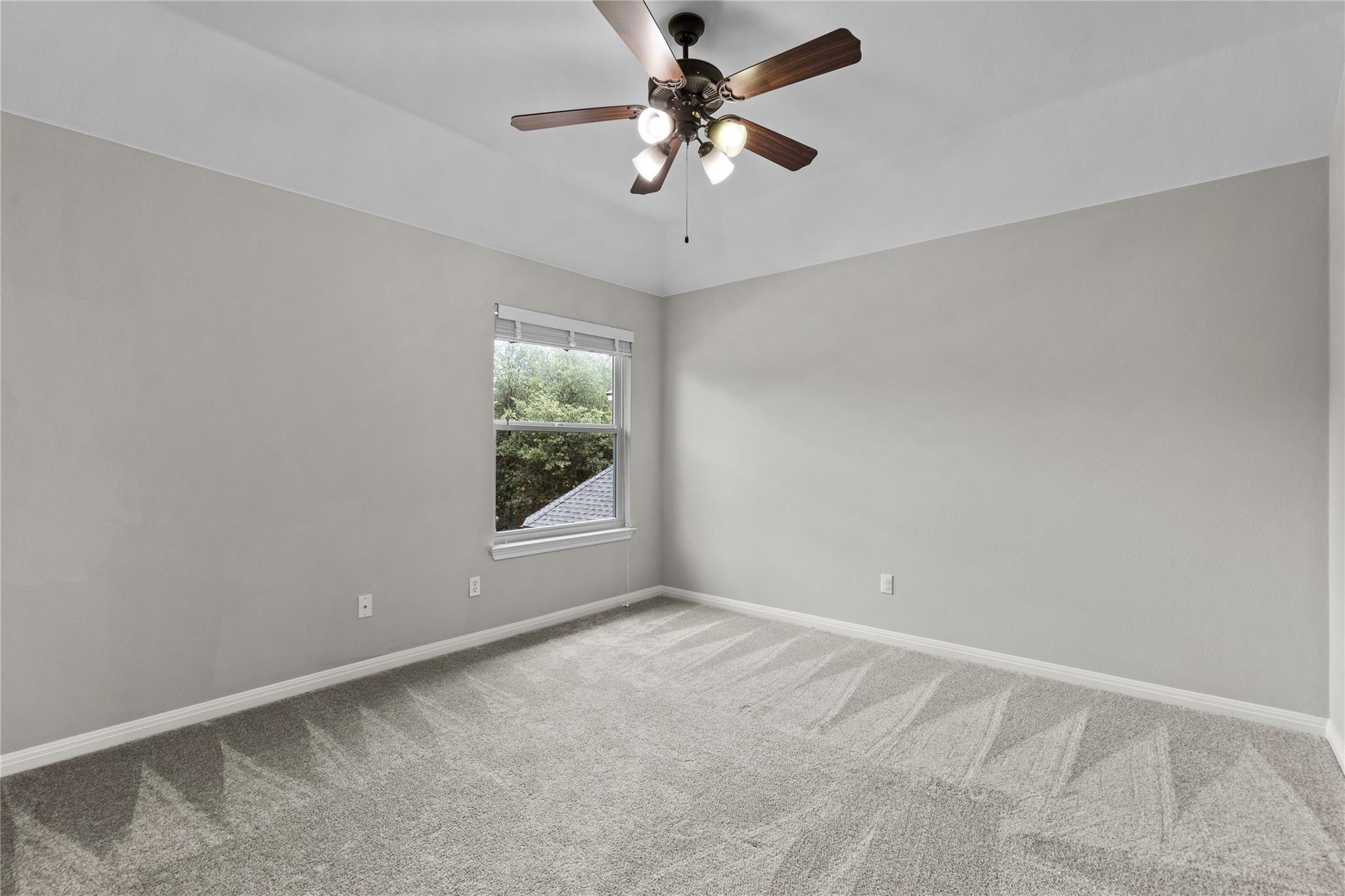 1604 Tahoka Daisy Drive Cedar Park TX 78613