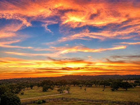 312 Paleface Point Drive Spicewood TX 78669