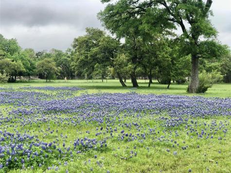 900 Canyonwood Drive Dripping Springs TX 78620