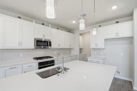 1009 Calendula Trail Georgetown TX 78628