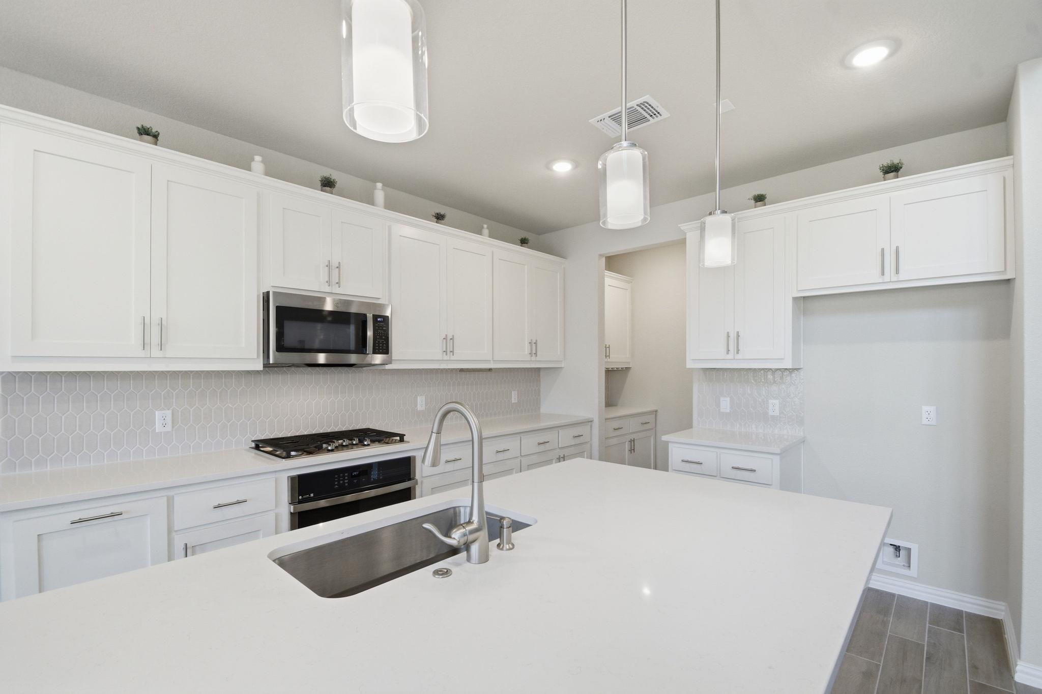 1009 Calendula Trail Georgetown TX 78628