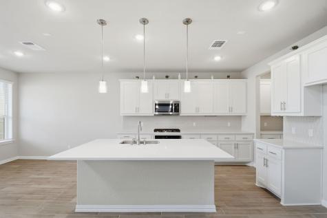 1009 Calendula Trail Georgetown TX 78628