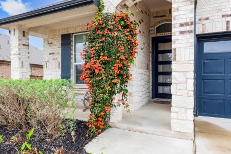 917 Balsora Cove Georgetown TX 78628