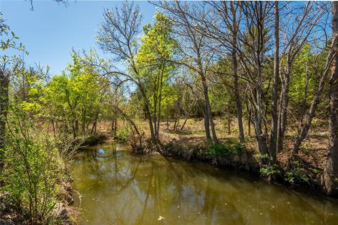 203 Legacy Oaks Ranch Drive Johnson City TX 78636