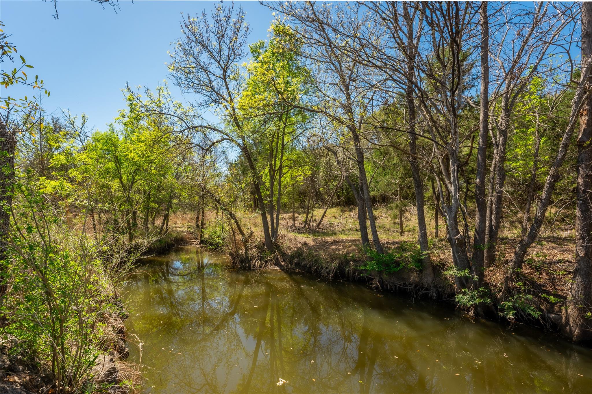 203 Legacy Oaks Ranch Drive Johnson City TX 78636