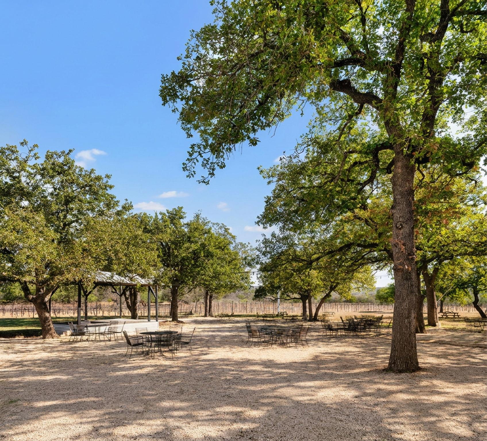 25711 Hamilton Pool Road Round Mountain TX 78663