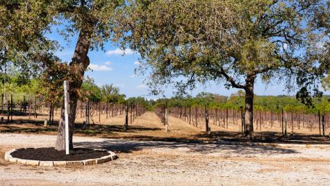 25711 Hamilton Pool Road Round Mountain TX 78663