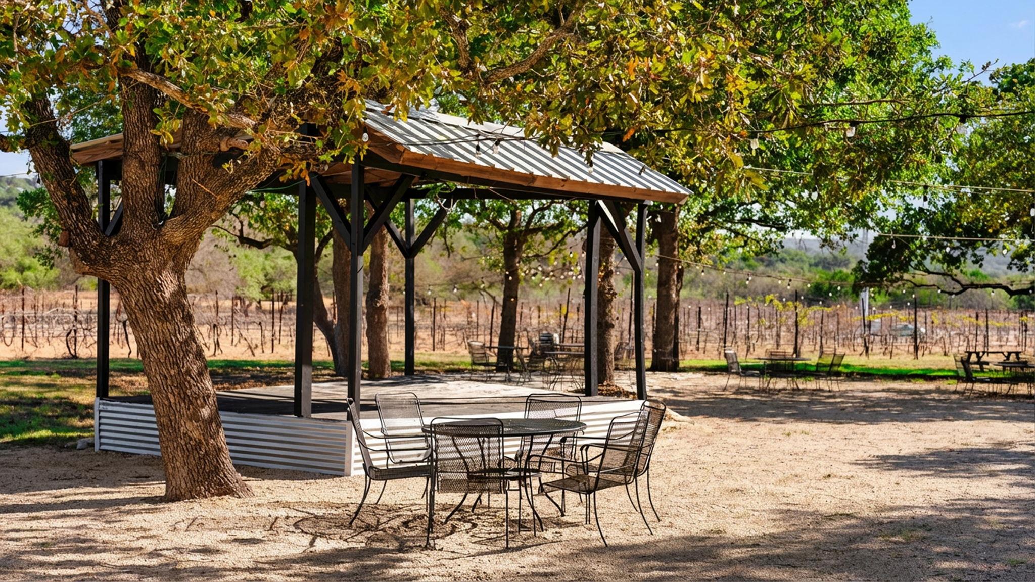 25711 Hamilton Pool Road Round Mountain TX 78663